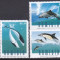 DB1 Fauna Marina Pesti 2006 Namibia 5 v. MNH colt lipsa la 1 v.