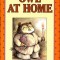 Owl at Home