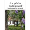 &quot;Ha győz&ouml;m csod&aacute;lkoz&aacute;ssal&quot; - Besz&eacute;lget&eacute;sek &Aacute;gh Istv&aacute;nnal