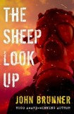 The Sheep Look Up