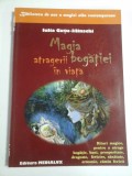 MAGIA ATRAGERII BOGATIEI IN VIATA - Iulia Gutu-Jilinschi