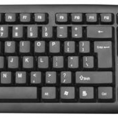 Tastatura Esperanza Amarillo EK134, USB, Us Layout (Negru)