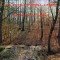Armonia Brass Quintet