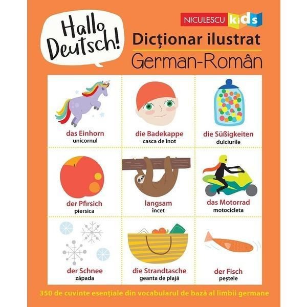 Hallo Deutsch! Dictionar ilustrat german-roman