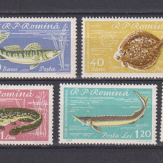 PISCICULTURA LP 510 MNH