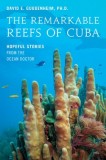 The Remarkable Reefs of Cuba: Hopeful Stories from the Ocean Doctor