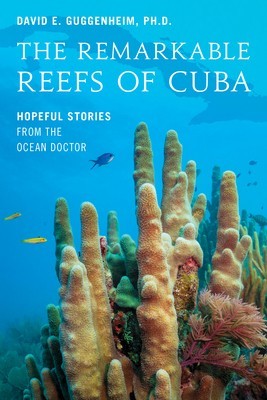 The Remarkable Reefs of Cuba: Hopeful Stories from the Ocean Doctor foto