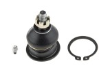 Rotula brat suspensie Honda Accord Cl, Cn, Cm 2002-2008, Odyssey 1999-2003, Spate Superior, NTY ZST-HD-000