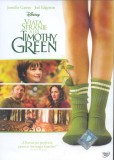 Viata Stranie A Lui Timothy Green -
