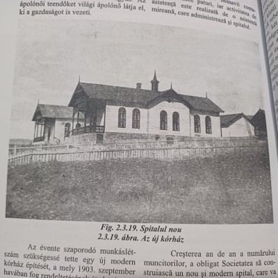 MIRCEA BARON- VALEA JIULUI LA INCEPUTUL SEC.XX (BILINGV)-2013 R4. foto