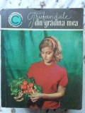 Trufandale din gradina mea - Elena Florescu, Ceres, Agronomie, 1968, Romana, Caleidoscop