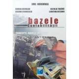 Bazele contabilitatii. Concepte. Modele. Aplicatii - 2006 - Emil Horomea ($V64)