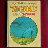 Signal zum Sturm &ndash; Soja Woskressenskaja (titlul original &icirc;n rusă: Сквозь ледяную мглу / Prin ceața de gheață
