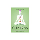 Chakras: Your Plain &amp; Simple Guide to the 7 Energy Centers of the Body