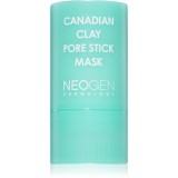 Neogen Dermalogy Canadian Clay Pore Stick Mask masca pentru curatare profunda pentru micsorarea porilor 28 g