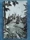 687 - Muntii Haghimasul Mare - Piatra Singuratica / vedere circulata 1969