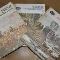 Antologie de poezie rusa : Perioada clasica ( 3 vol. )