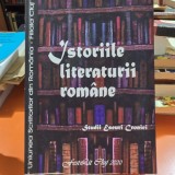 Istoria literaturii romane. Studii, eseuri, cronici - Irina Petras