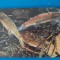 CPIB 23226 CARTE POSTALA - ACVARIU CONSTANTA. BARBUS BIMACULATUS, NECIRCULATA