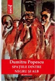 Spatiile dintre negru si alb | Dumitru Popescu, Hoffman