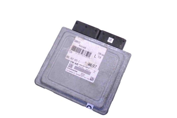 Unitate de control motor AUDI A4 8W2, B9 2017 OEM: 06L907425C 17995078