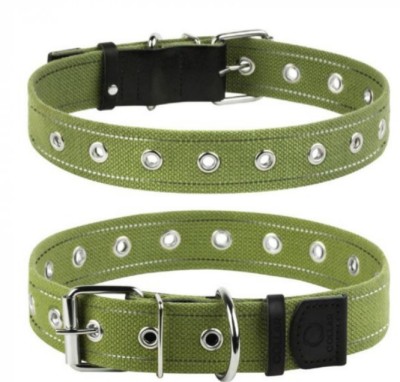 Collar, Zgarda caini adimensionala, 35mm latime, 63cm lungime, verde, (6756) foto