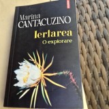 Iertarea. O explorare - Marina Cantacuzino