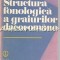 Structura Fonologica A Graiurilor Dacoromane - Grigore Rusu