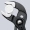 icon 10