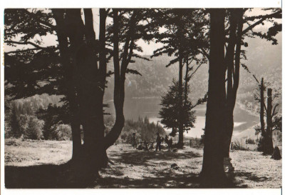 CPIB 15817 CARTE POSTALA - TUSNAD. LACUL SF. ANA foto