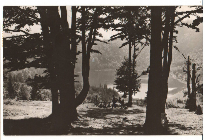 CPIB 15817 CARTE POSTALA - TUSNAD. LACUL SF. ANA