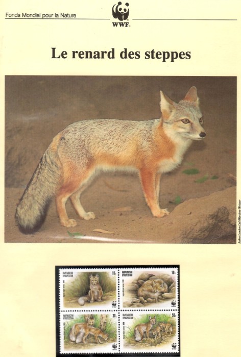 K&acirc;rg&acirc;zstan 1999 - Vulpea Corsac, Set WWF,4 poze, MNH, (vezi descrierea)