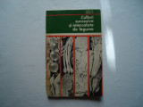 Culturi succesive si intercalate de legume - Voinea M., Popescu H., 1971, Alta editura