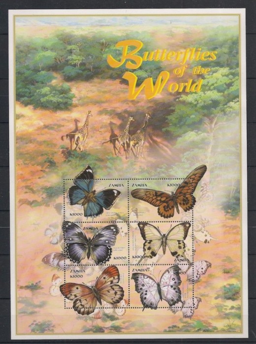 ZAMBIA 2000 FAUNA INSECTE FLUTURI GIRAFE