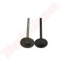 Set Supape Admisie Evacuare Mai Compactor Placa Compactoare Motor Honda GX100 Aftermarket