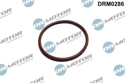 Garnitura, Pompa Combustibil 307717 DRM0286 foto