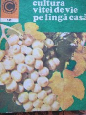 Cultura vitei de vie pe langa casa (135) - Avram D. Tudosie foto