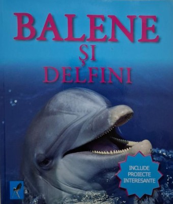 Balene si delfini &amp;ndash; Caroline Harris foto