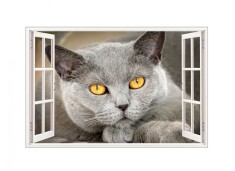 Sticker decorativ, Fereastra 3D, Pisica, 85 cm, 505STK