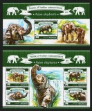 MALDIVES 2015 FAUNA ANIMALE SALBATICE ELEFANTI