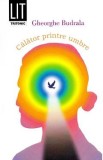 Calator printre umbre - Gheorghe Budrala