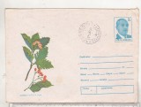 bnk ip Flori - Sorbus Dacica Barb - 1987