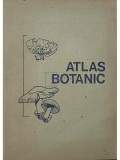 L. Popovici - Atlas botanic (Editia: 1994)