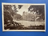 Carte Postala - Craiova Parcul Romanescu, Necirculata, Fotografie