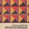 Indrumatorul Montatorului De Placaje - Constantin Tsicura, Rodica Cornea