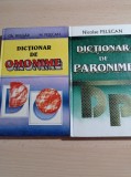 Dictionar de omonime + Dictionar de paronime