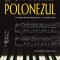 Polonezul &ndash; J.M. Coetzee