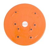 Disc rotativ inSPORTline Magnetic FitLine Training