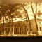 Ilustrata Dumbraveni judet Sibiu - Caminul Cultural circ. 1966
