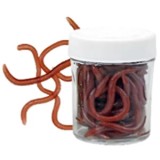 Cumpara ieftin Rame Rosii De Pamant Cu Aroma Konger Groundworm Artificial Soft Bait Scented